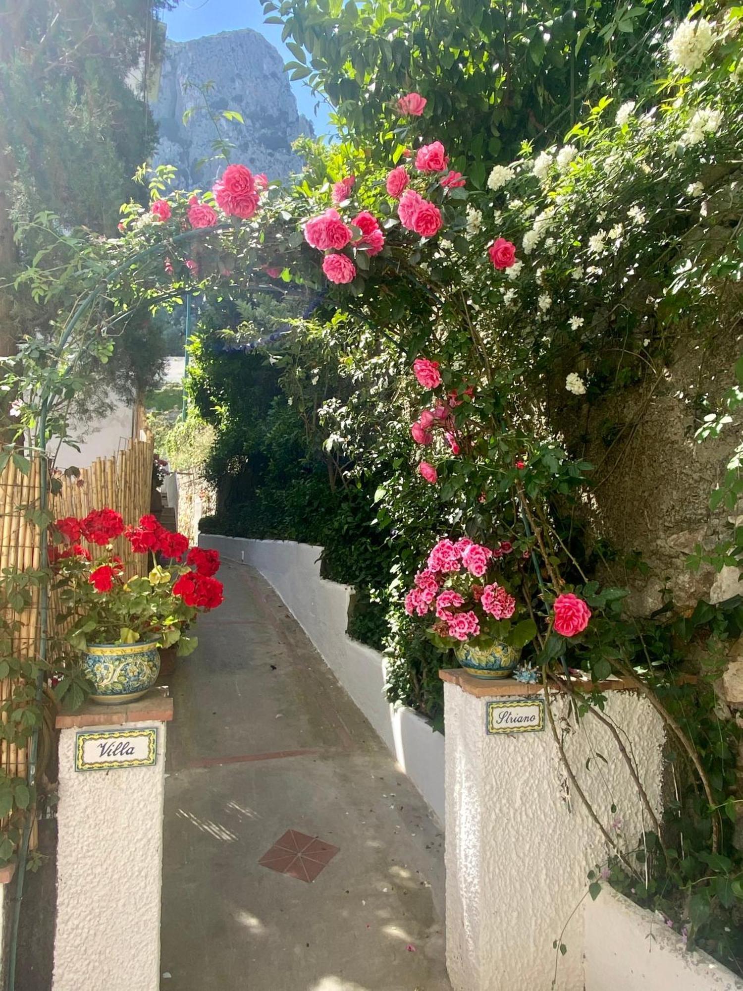 Villa Striano Boutique Capri Eksteriør billede