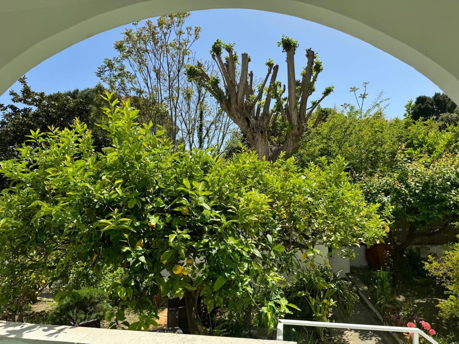 Villa Striano Boutique Capri Eksteriør billede
